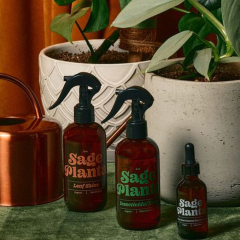 Insecticidal Soap Plant Spray