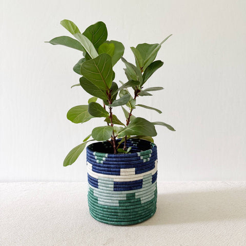 Storage Plant Basket: Mutala