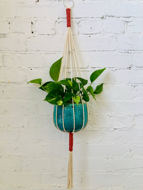 Joshua Tree Two-Tone Plant Hanger