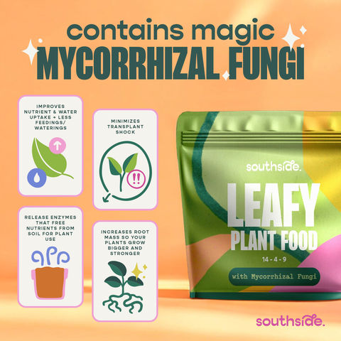 Leafy Plant Food - Complete Gentle Nutrition + Mycorrhizae