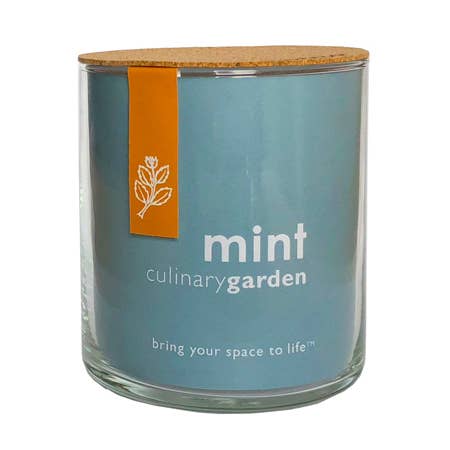 Essential | Mint Culinary Garden