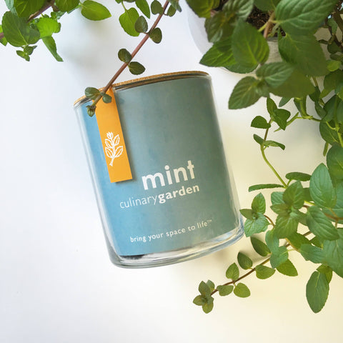 Essential | Mint Culinary Garden