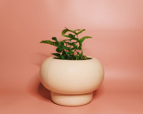 Ikebana Planter