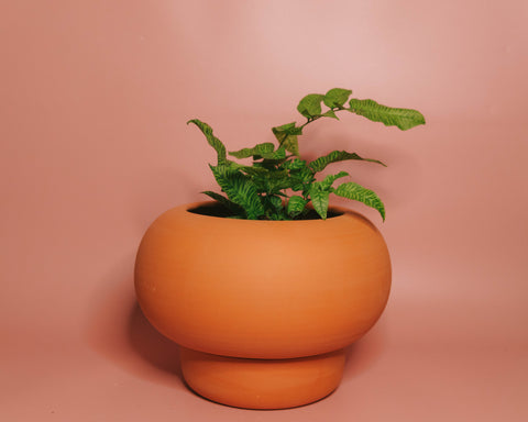 Ikebana Planter