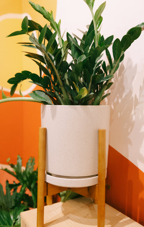 cylindrical pots for plants 10.25" Gemstone Cylinder Pots – Viridian Plant Co