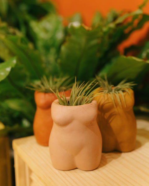 Female Shape Planter