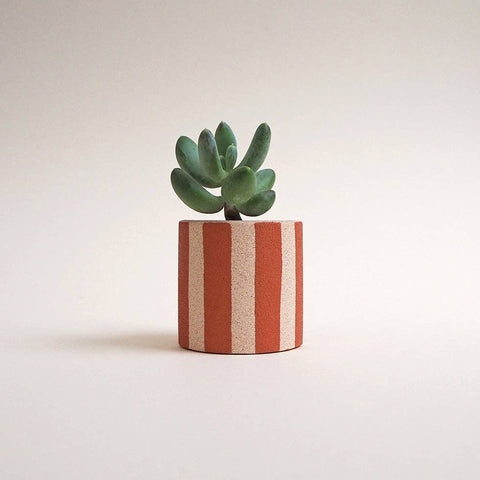 Mini Stripes Pot