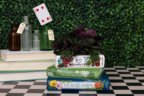 Stacked Books Planter - Alice/Wind in the Willows/The Secret