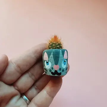 Mini Air Plant Holder with Air Plant