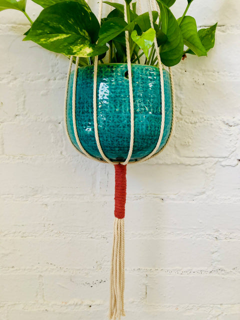 Joshua Tree Two-Tone Plant Hanger