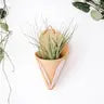 Ceramic Air Plant Cone