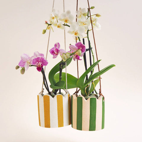 Small Stripy Hanging Pot - Choose Your Colours