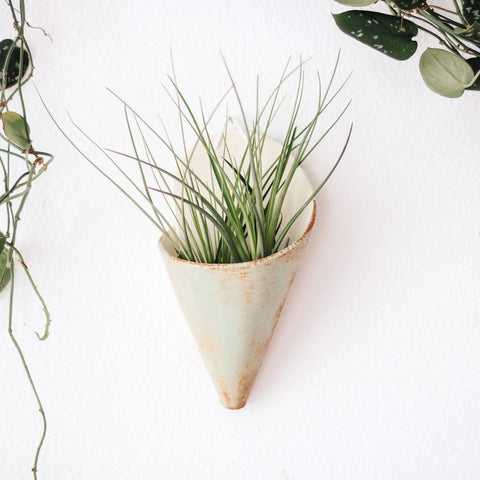 Ceramic Air Plant Cone