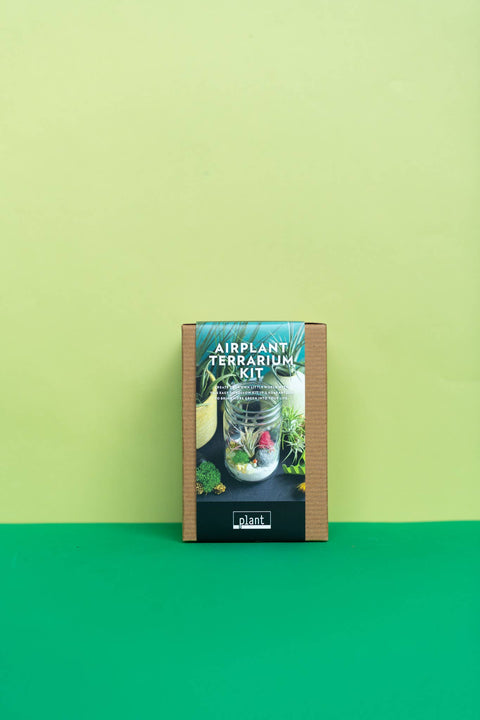 Airplant Terrarium Kit