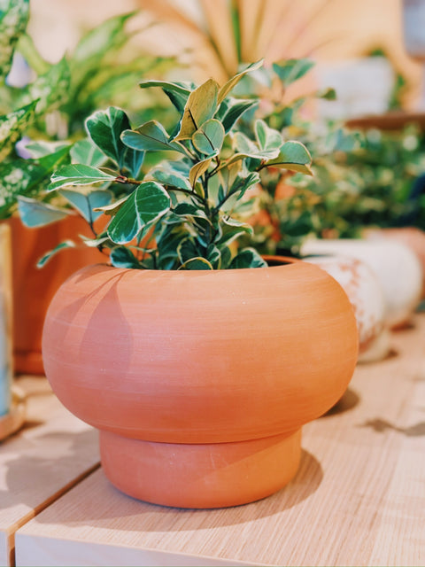 Ikebana Planter