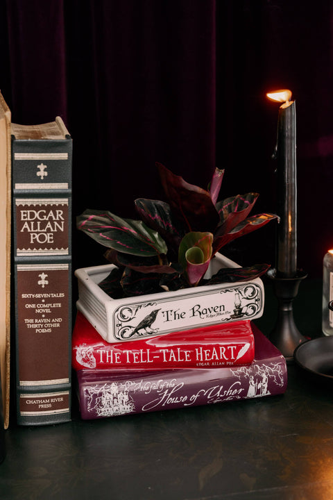 Stacked Book Planter | The Raven