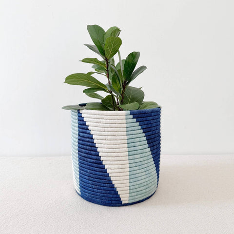 Storage Plant Basket: Gisovu