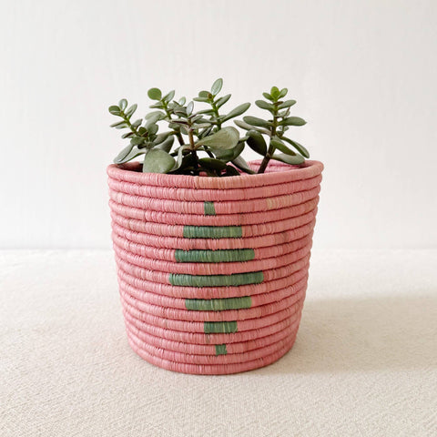 Blush Pink Storage Plant Basket: Cibitoke