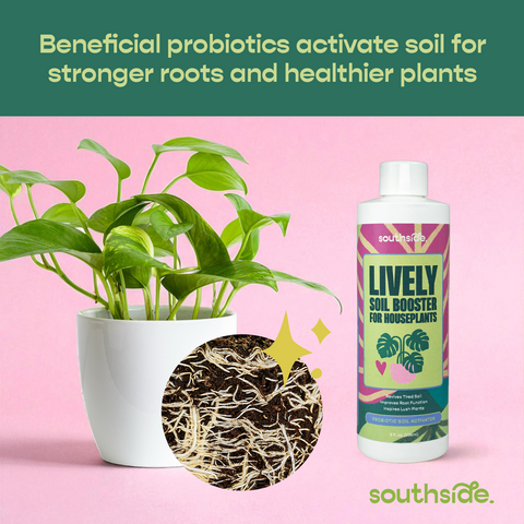 Lively Soil Booster for Houseplants
