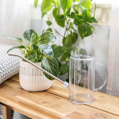 Clear Watering Can