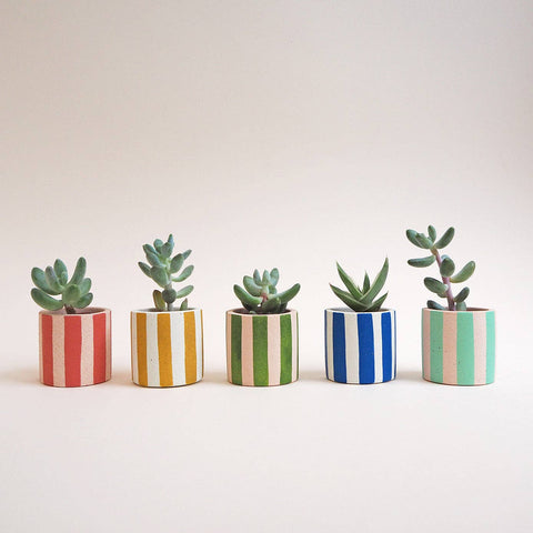 Mini Stripes Pot