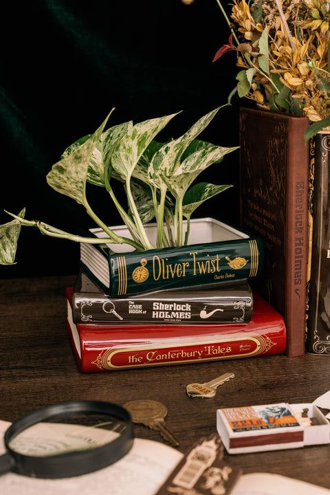 Sherlock Holmes Book Planter