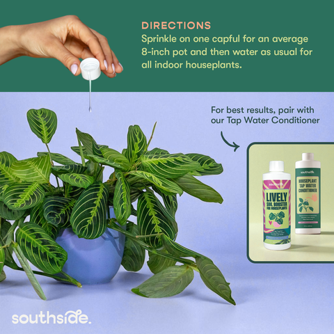 Lively Soil Booster for Houseplants