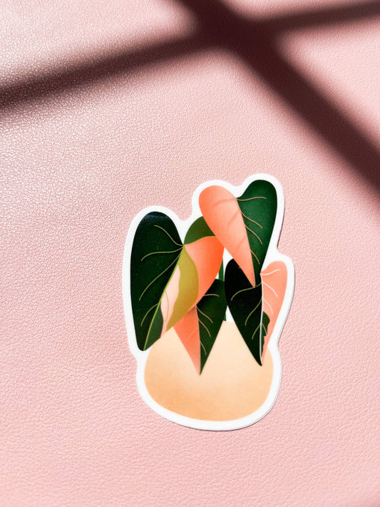 Strawberry Shake Philodendron Plant Sticker