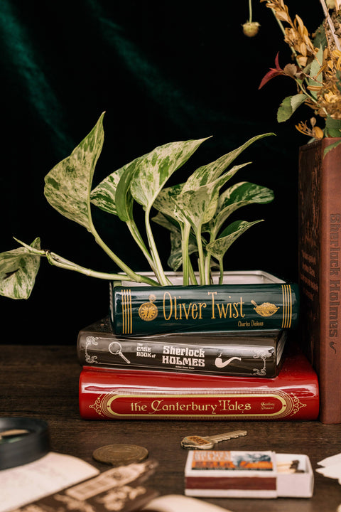 Sherlock Holmes Book Planter