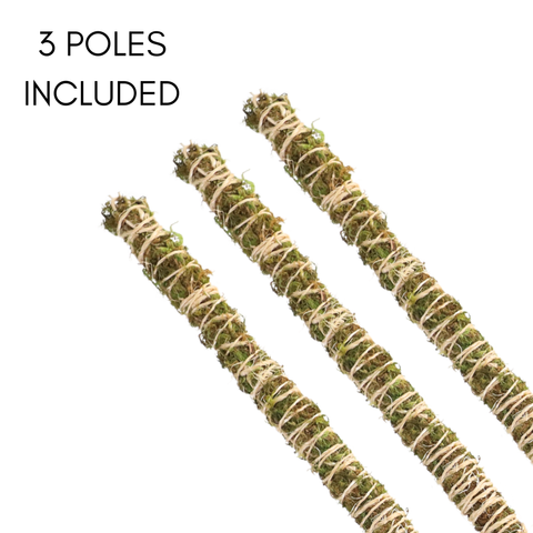 3 Pack Bendable Moss Pole