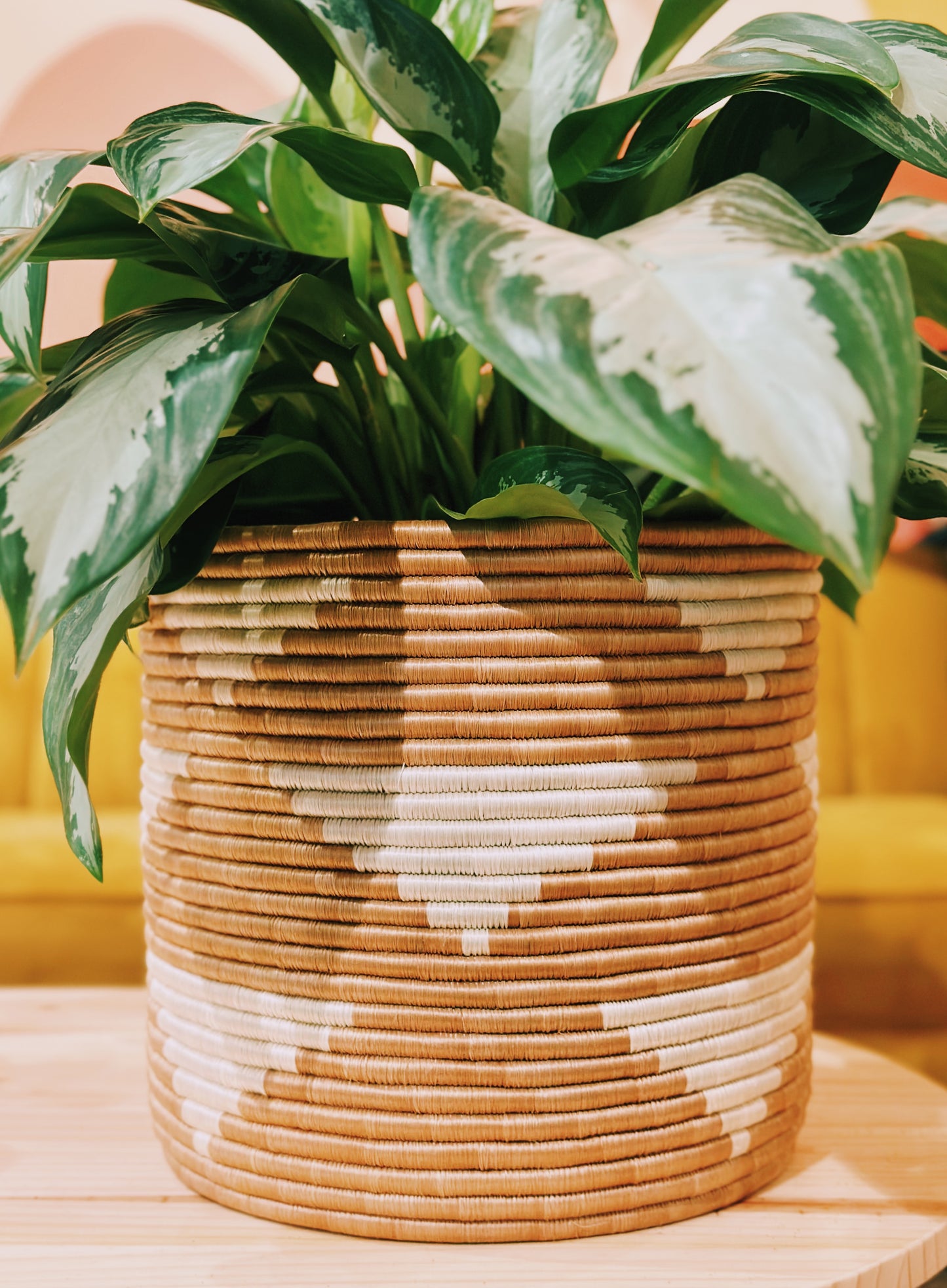 Storage Plant Basket: Ihema