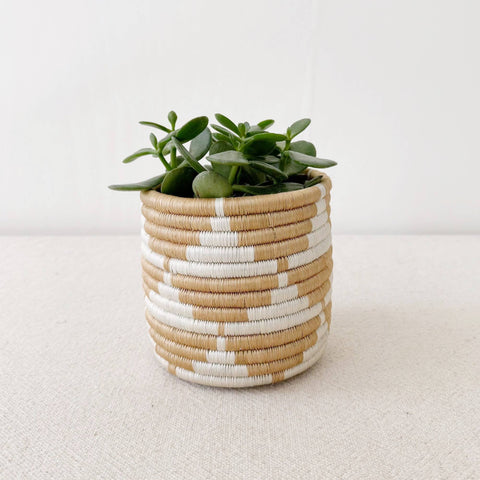 Zaza Storage Plant Basket