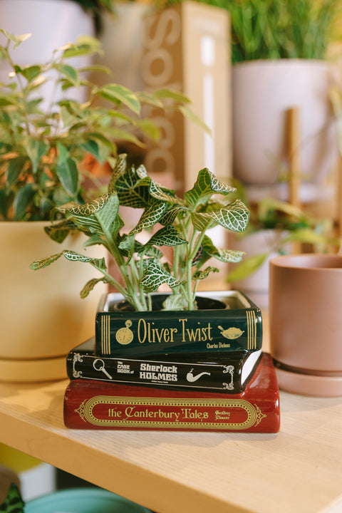 Sherlock Holmes Book Planter