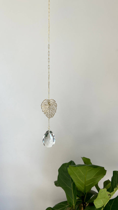 Leaf Suncatcher, Plant Lover Wall Hanging, Monstera
