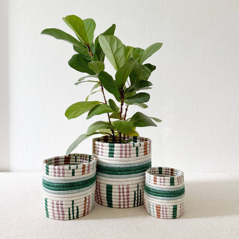 Storage Plant Basket: Kinonko