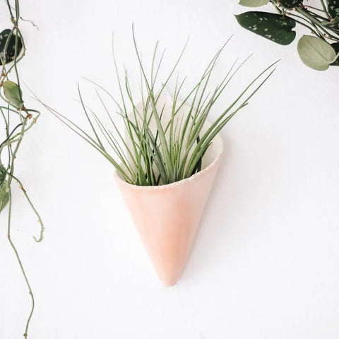 Ceramic Air Plant Cone