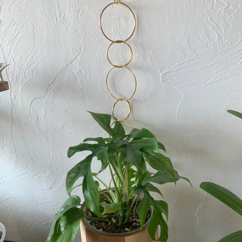 Modern Brass Chain Trellis