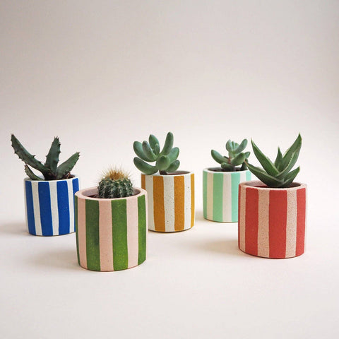 Mini Stripes Pot