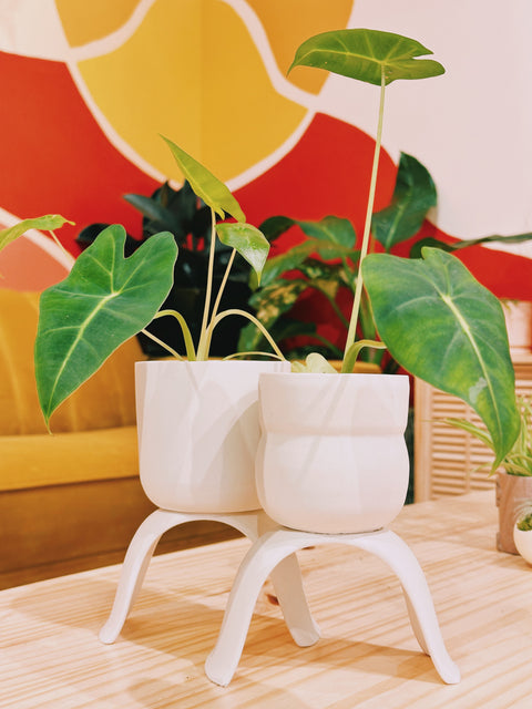 High Rise Planter