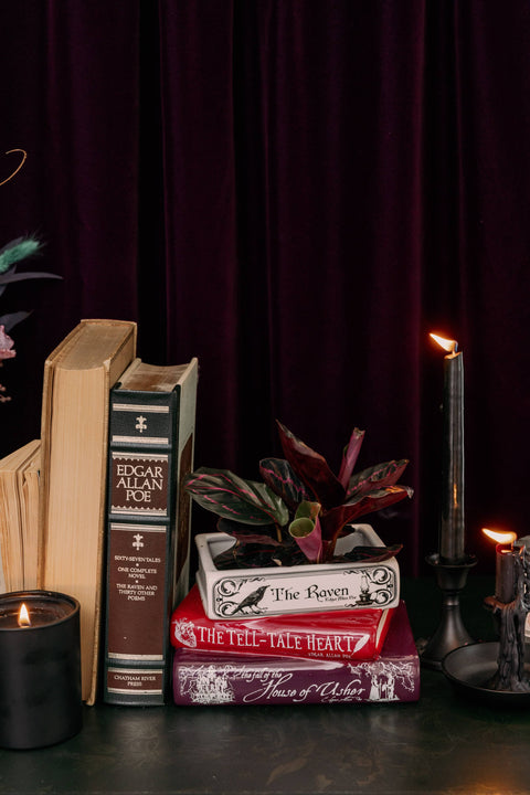 Stacked Book Planter | The Raven