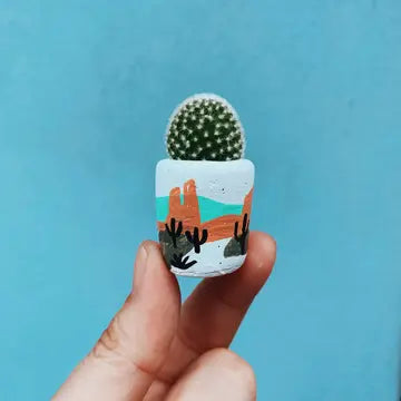 Mini Air Plant Holder with Air Plant