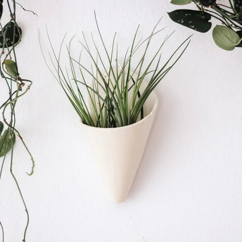 Ceramic Air Plant Cone