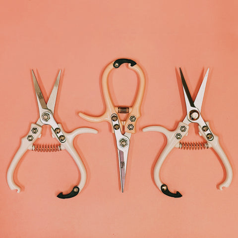 Pruning Shears