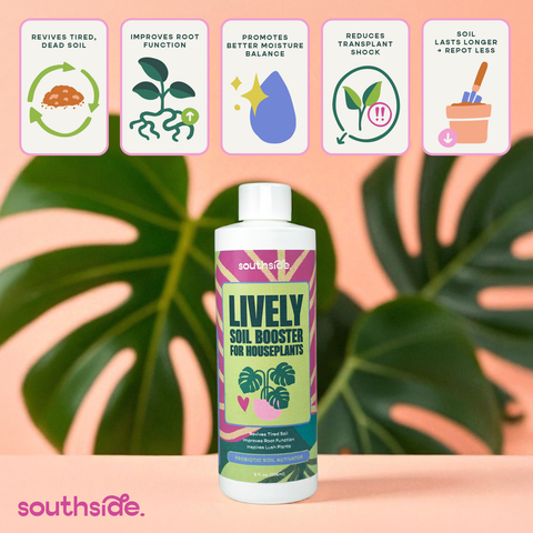 Lively Soil Booster for Houseplants