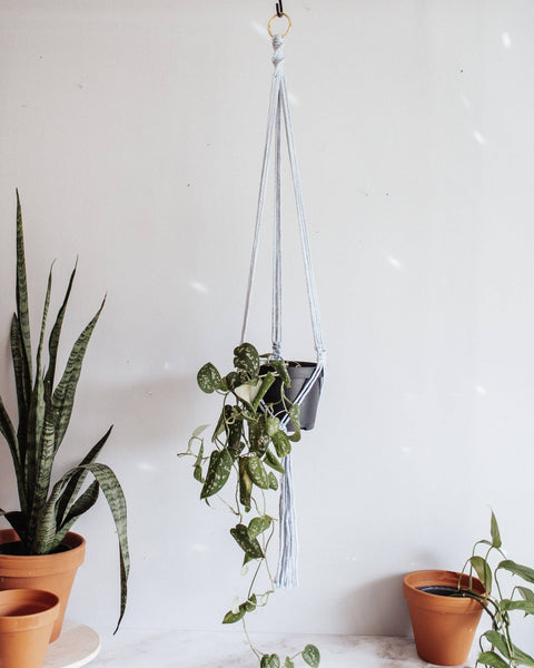 Basic Macrame Plant Hanger