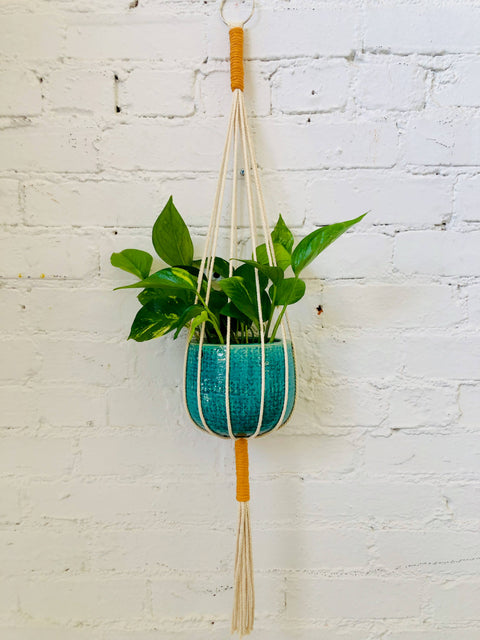 Joshua Tree Two-Tone Plant Hanger