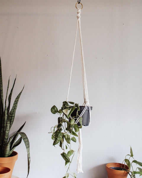 Basic Macrame Plant Hanger