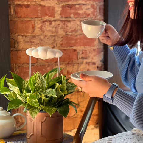 Original Dripping Rain Cloud