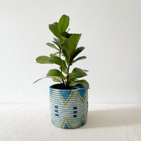 Storage Plant Basket: Bunda