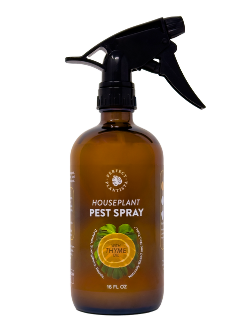 Natural + Non-Toxic Houseplant Pest Spray